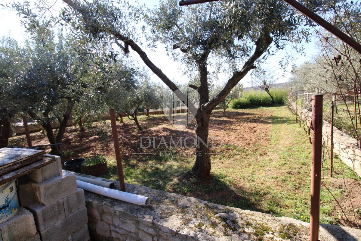 Marčana, dintorni, casa con due appartamenti