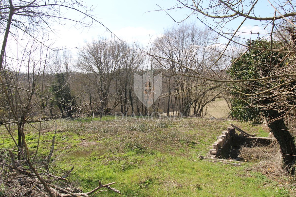 Istria centrale, dintorni, casa da adattare con ampio terreno