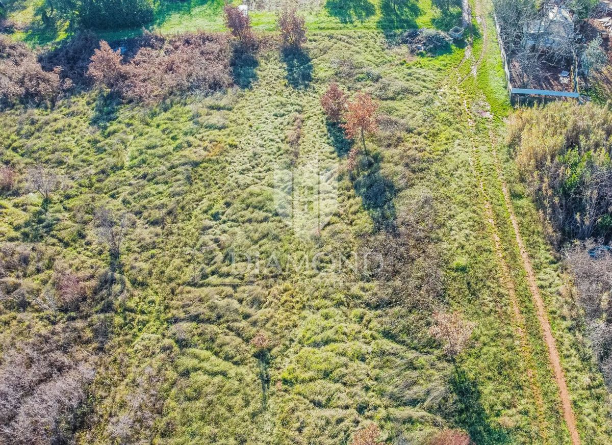 Umago, grande terreno edificabile per investimento!