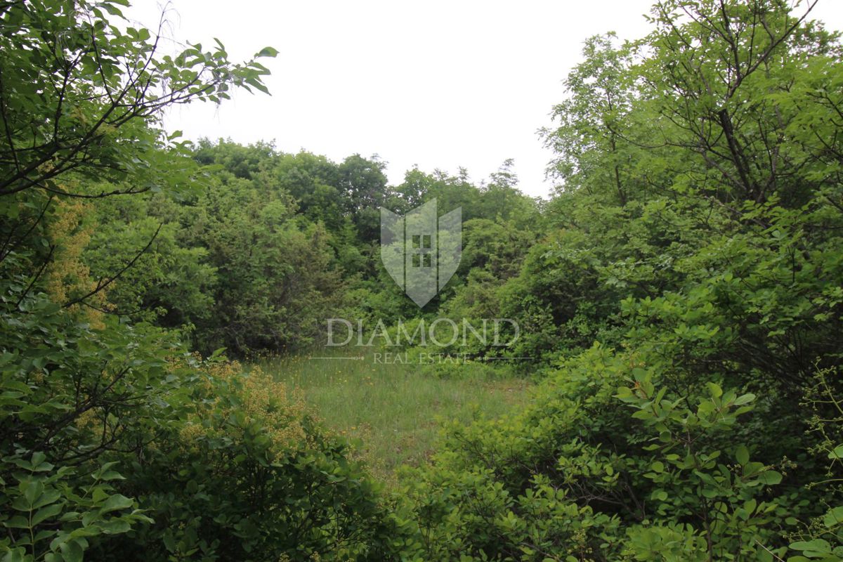 Labin, dintorni, complesso di terreni