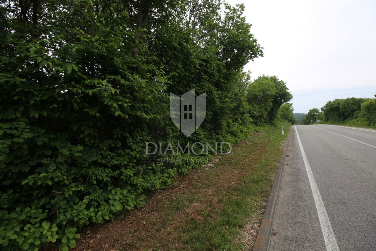 Labin, dintorni, complesso di terreni