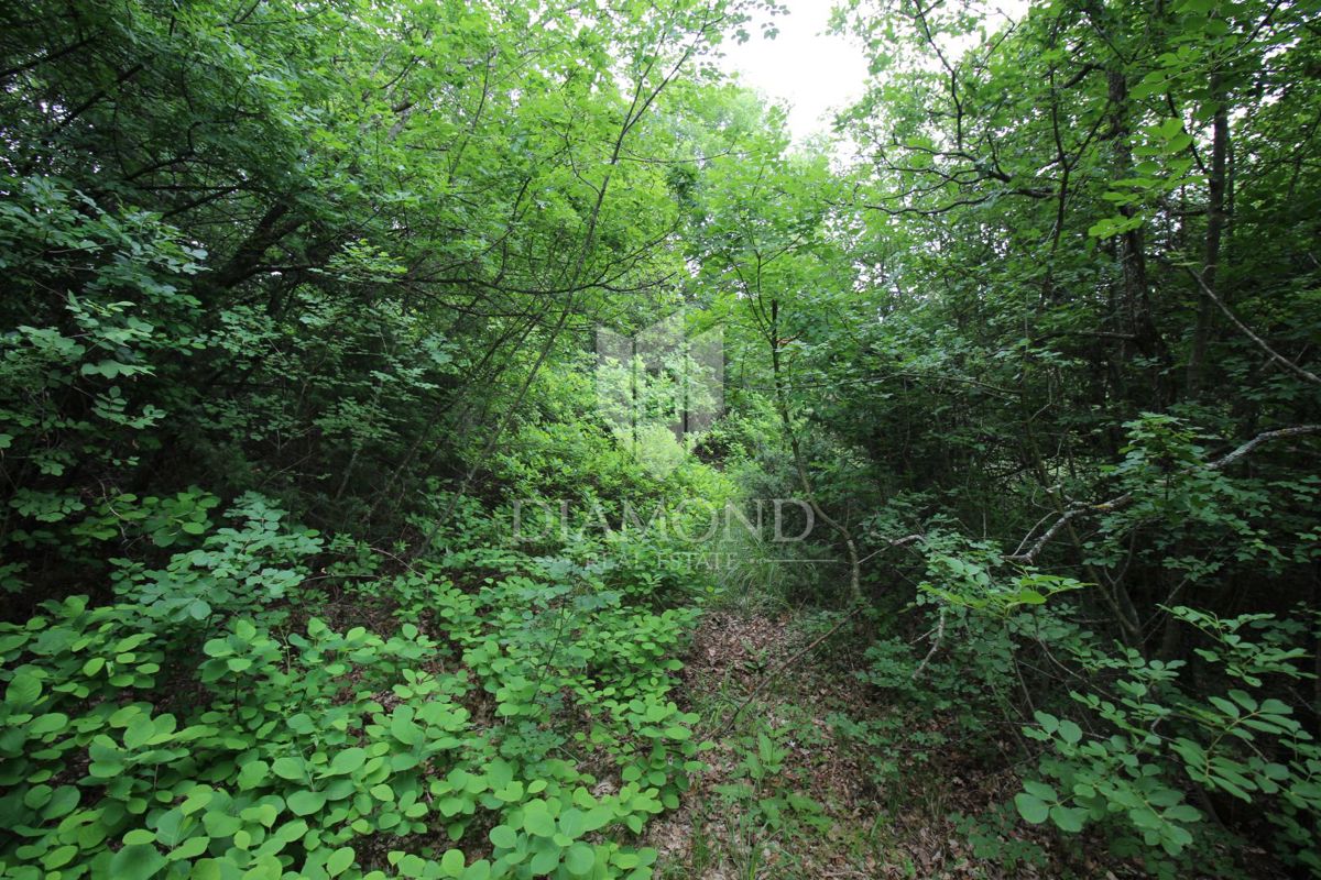 Labin, dintorni, complesso di terreni