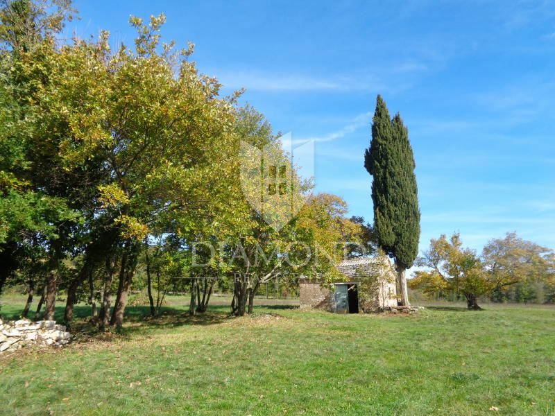 Žminj, ampio terreno edificabile con edificabile