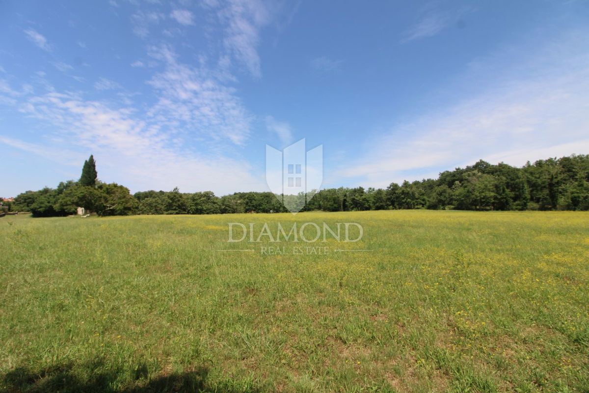 Žminj, ampio terreno edificabile con edificabile