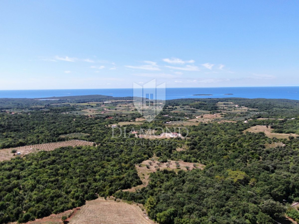 Rovigno, OCCASIONE, ottimo terreno con vista mare