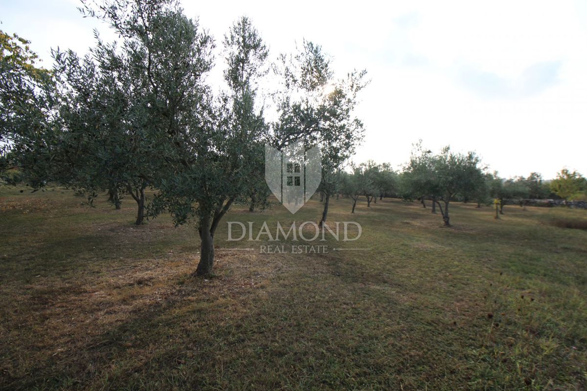 Dignano, casa Rohbau con ampio giardino