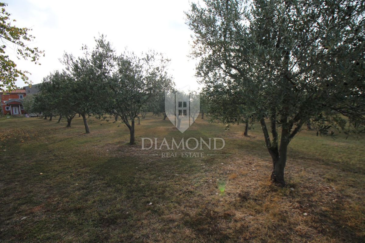 Dignano, casa Rohbau con ampio giardino