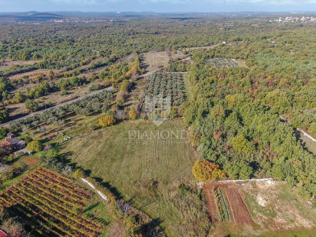 Svetvinčenat, dintorni, bel terreno in una posizione tranquilla