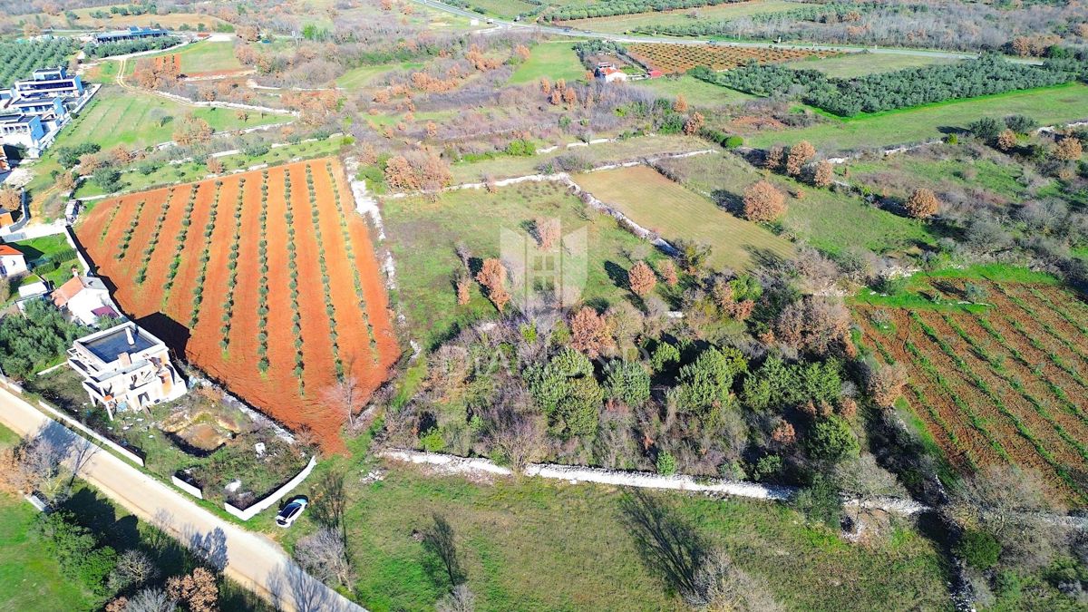 Dignano, terreno edificabile con vista mare