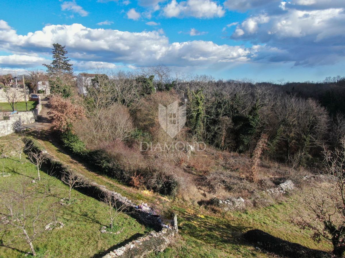Rovinj, dintorni, terreno edificabile e agricolo
