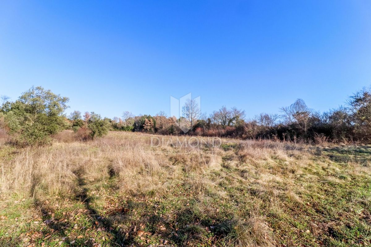 Casa in un'oasi di pace e natura non lontano da Rovigno