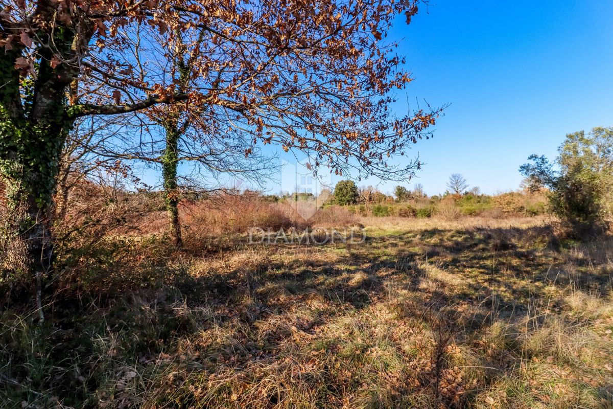 Casa in un'oasi di pace e natura non lontano da Rovigno