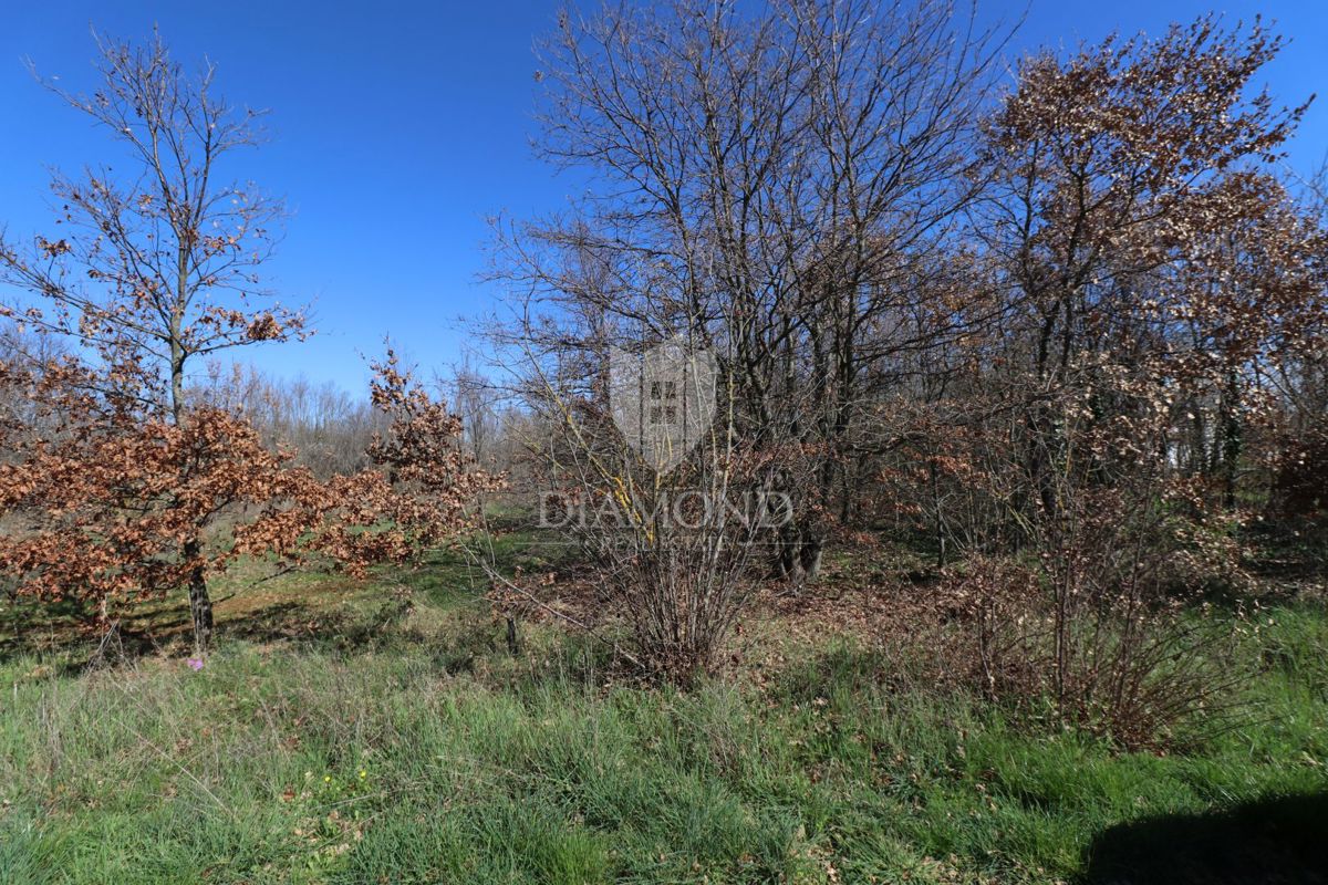 Loborika, ampio terreno edificabile