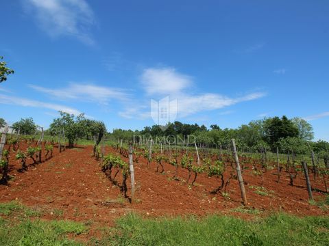 Barban, terreno con progetto in una posizione tranquilla