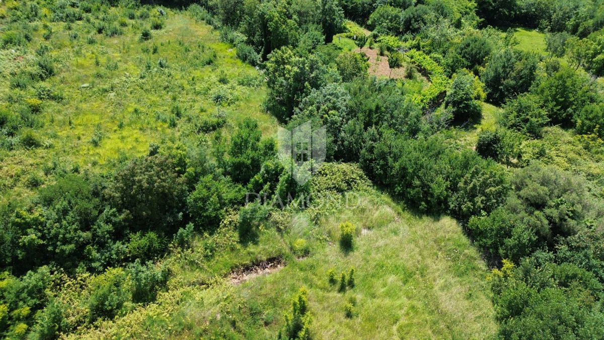 Albona, dintorni, terreno con permesso di costruire