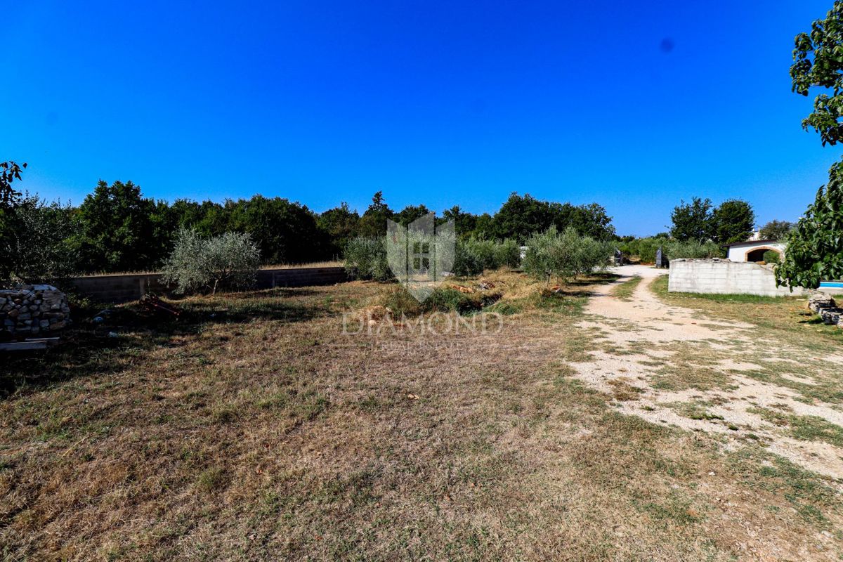 Taverna con attività consolidata, camere e piscina!