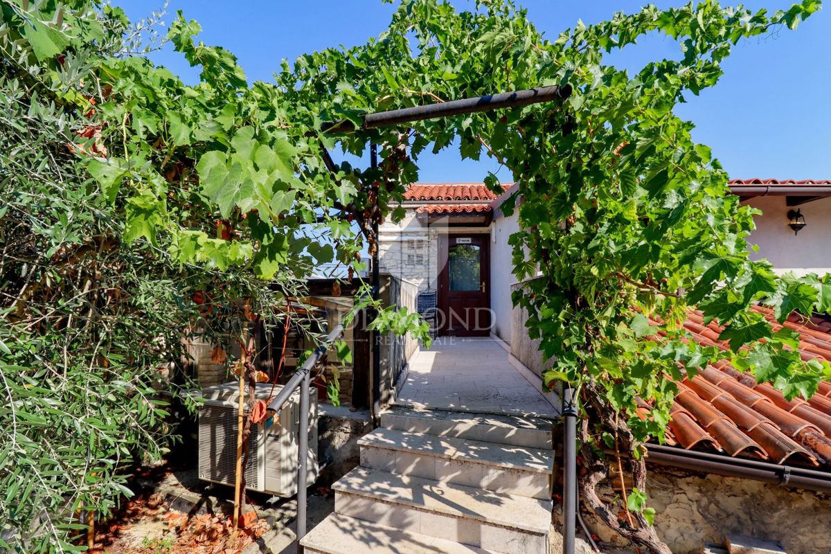 Taverna con attività consolidata, camere e piscina!