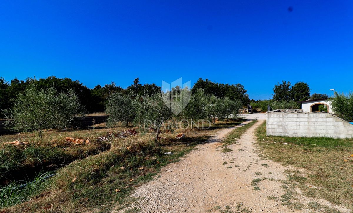 Taverna con attività consolidata, camere e piscina!