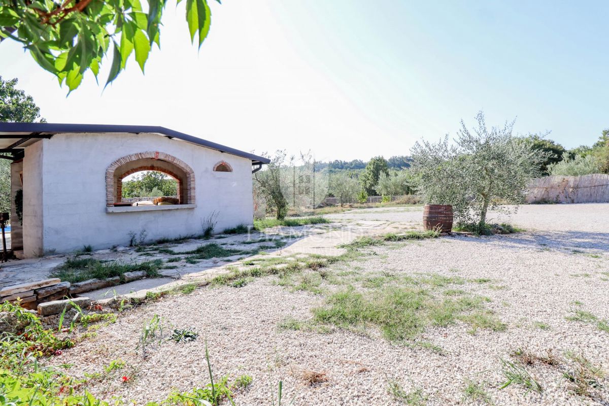 Taverna con attività consolidata, camere e piscina!