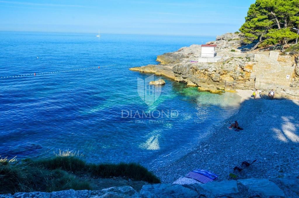 Una splendida villa vicino a Svetvinčenat