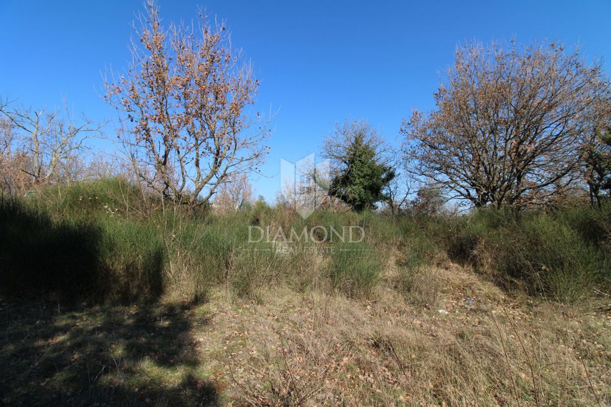 Dignano, ampio terreno edificabile 