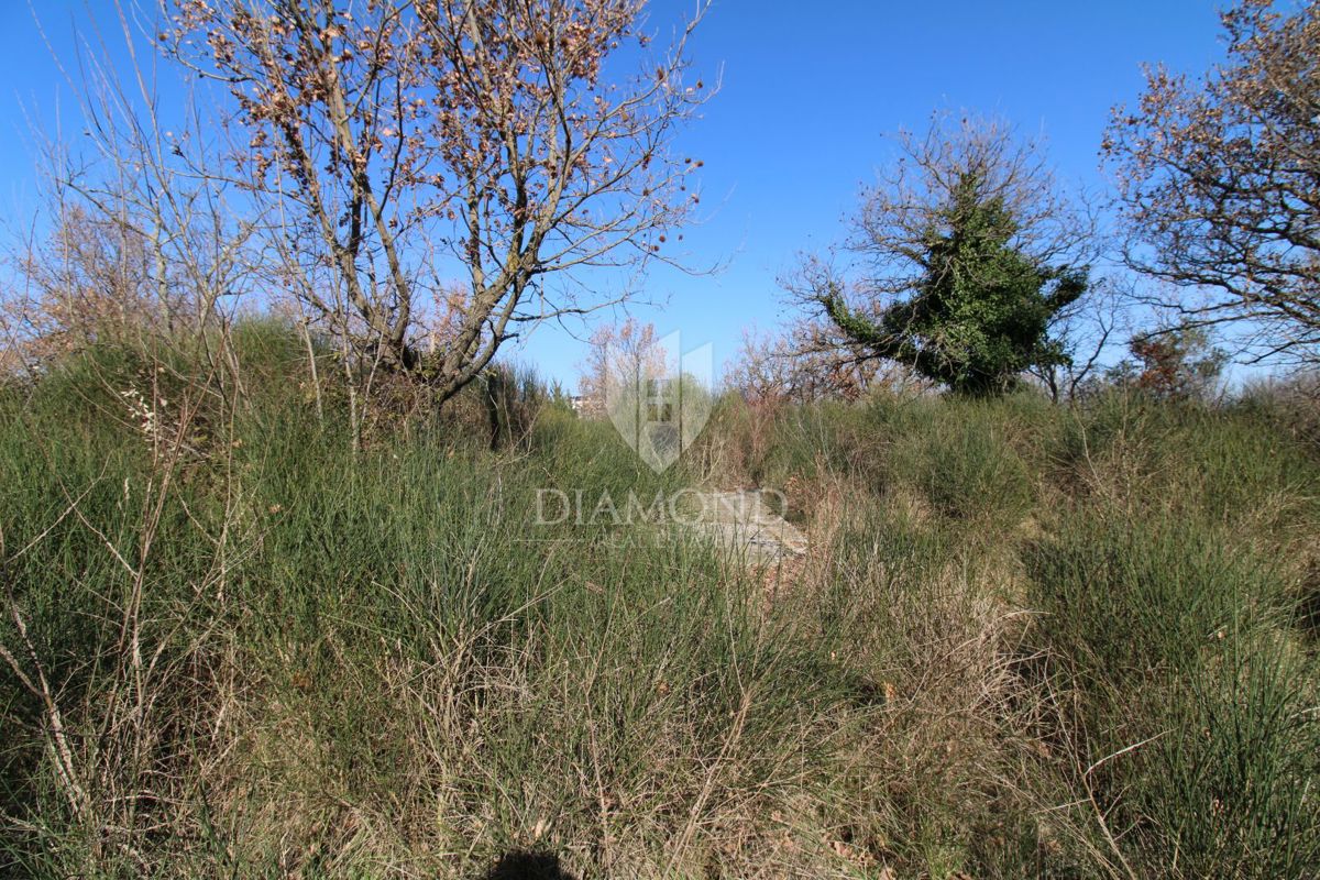 Dignano, ampio terreno edificabile 