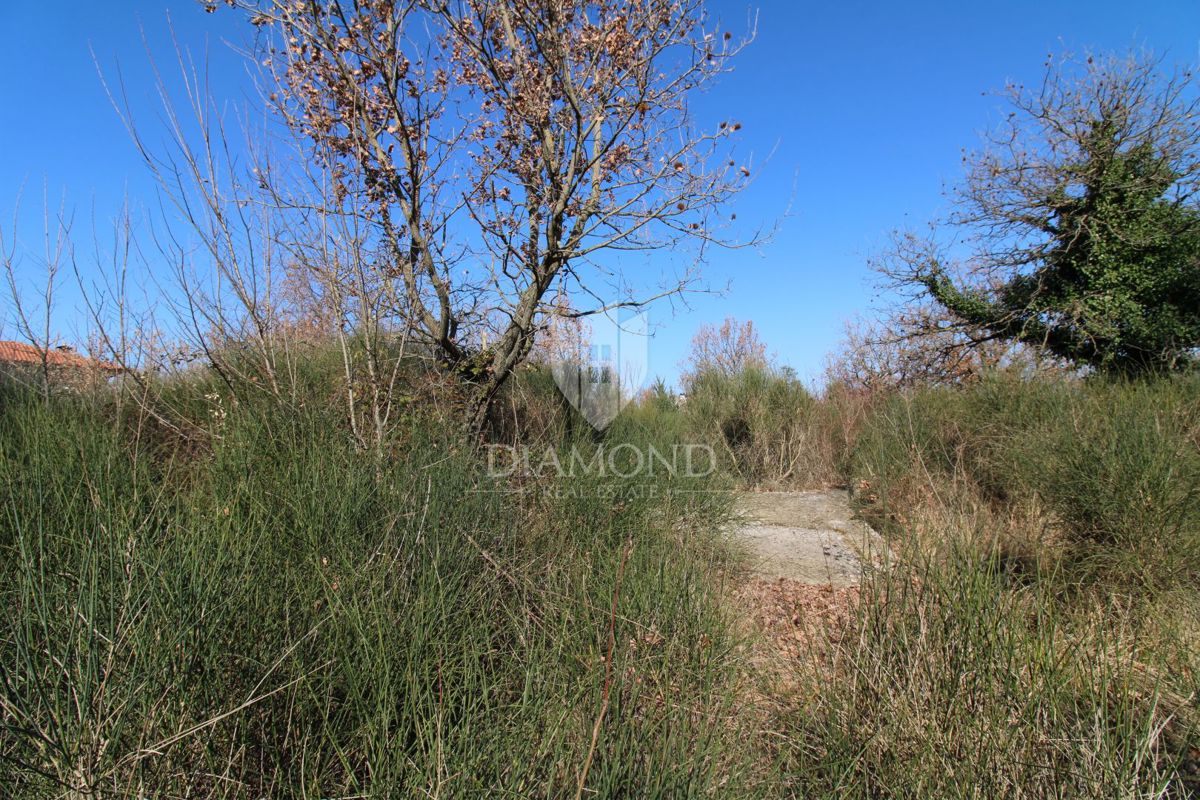 Dignano, ampio terreno edificabile 