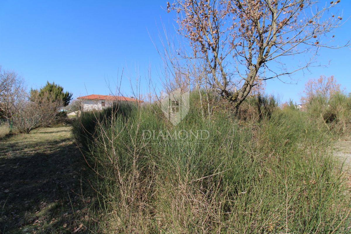 Dignano, ampio terreno edificabile 
