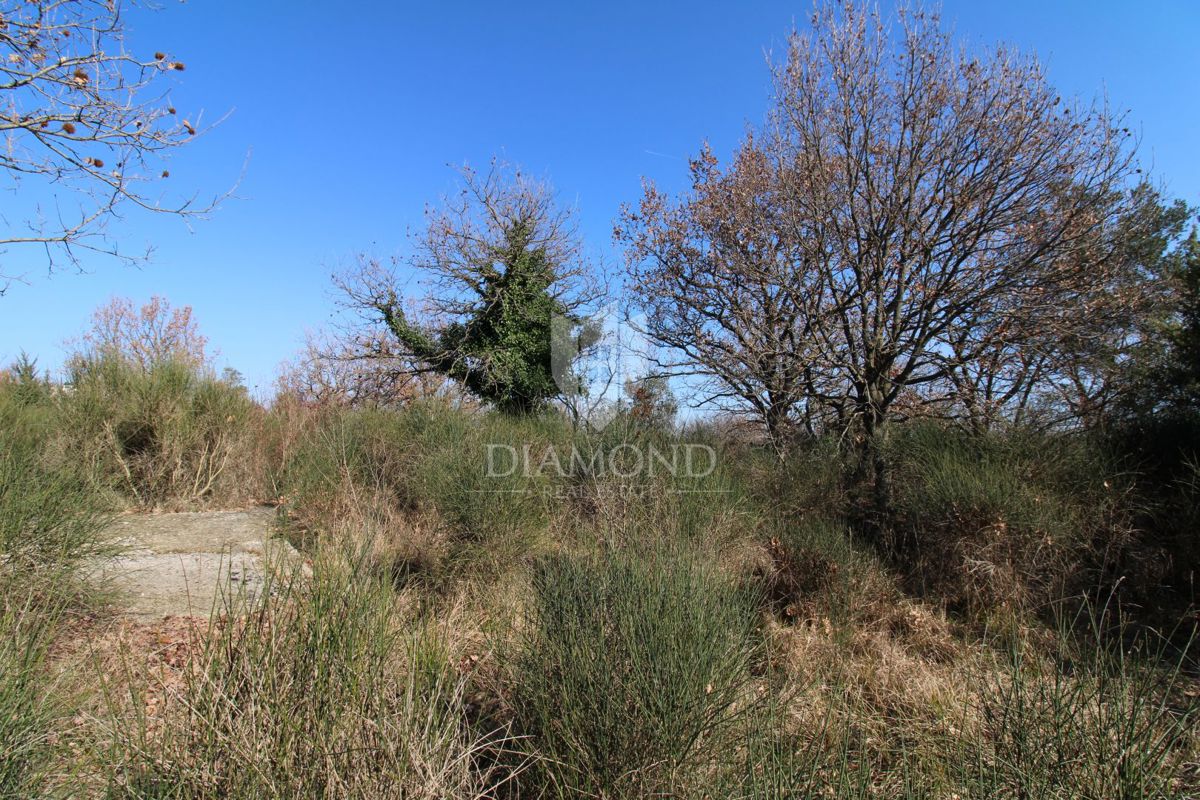 Dignano, ampio terreno edificabile 