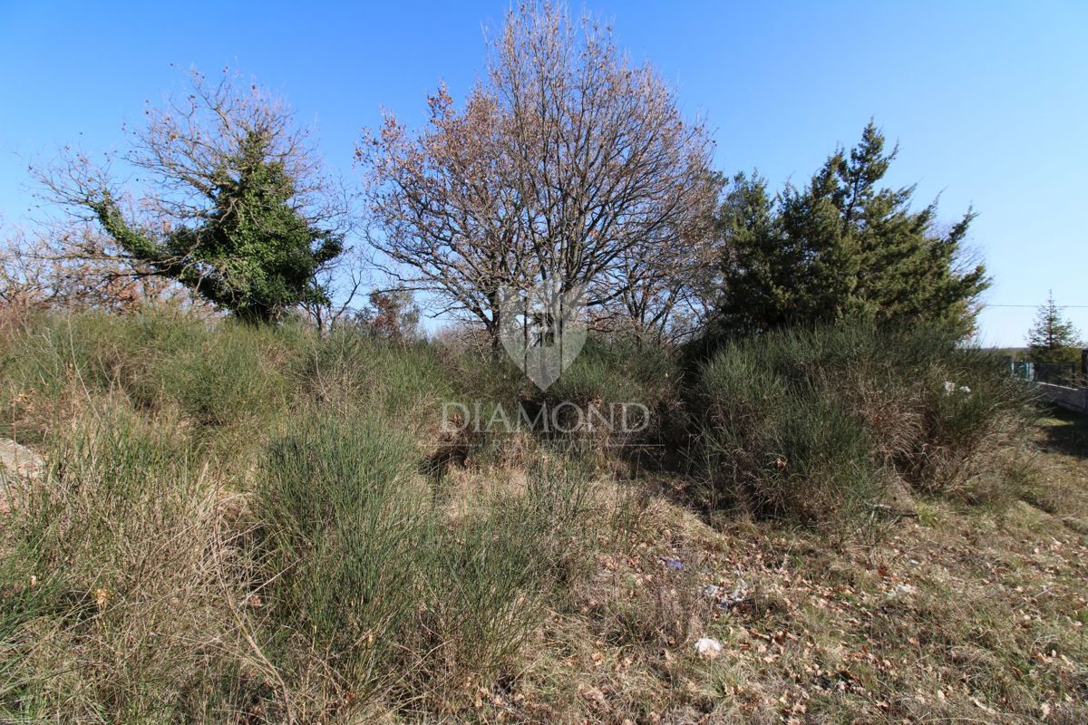 Dignano, ampio terreno edificabile 