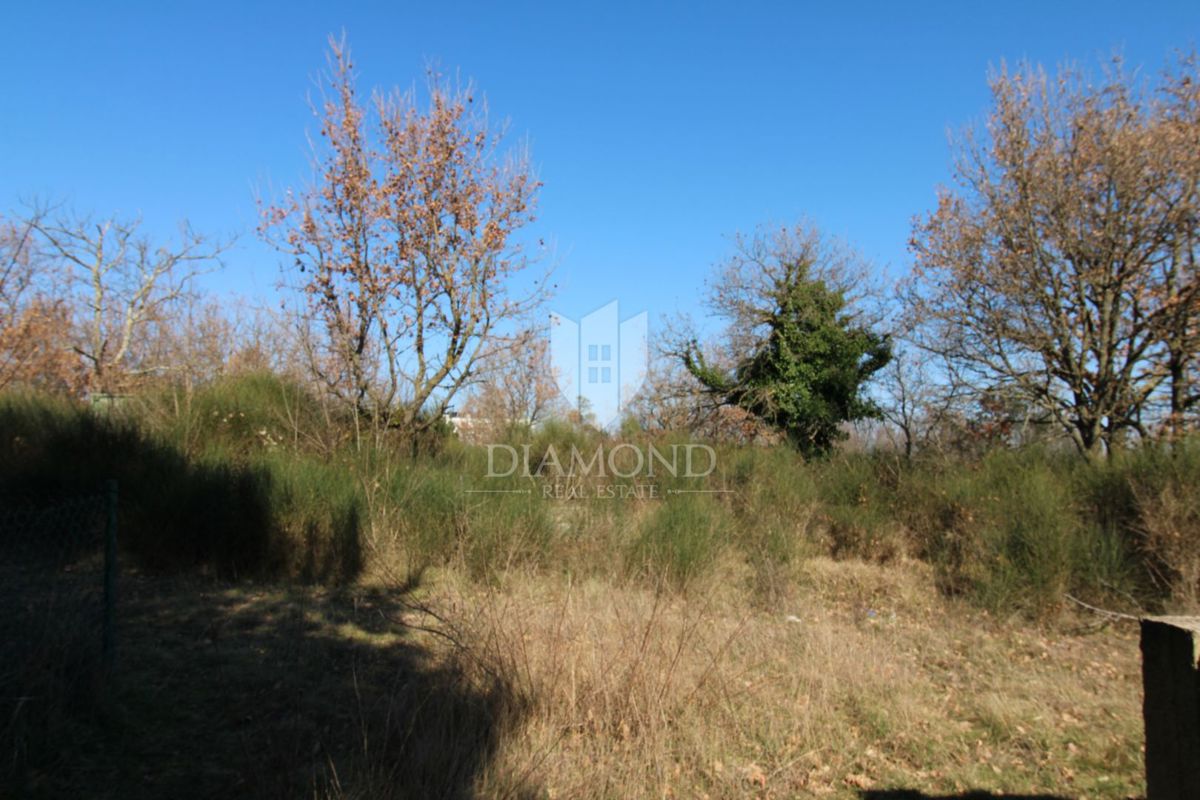 Dignano, ampio terreno edificabile 