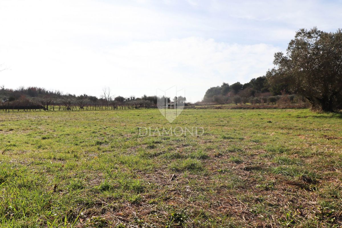 Poreč, dintorni – Terreno edificabile in una zona tranquilla