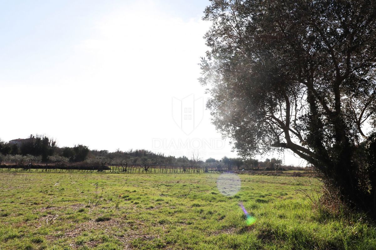 Poreč, dintorni – Terreno edificabile in una zona tranquilla
