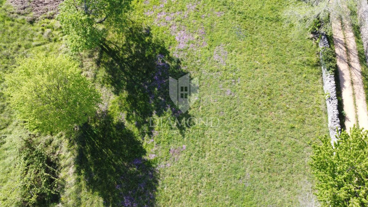 Parenzo – Dintorni – Terreno Edificabile in Splendida Posizione