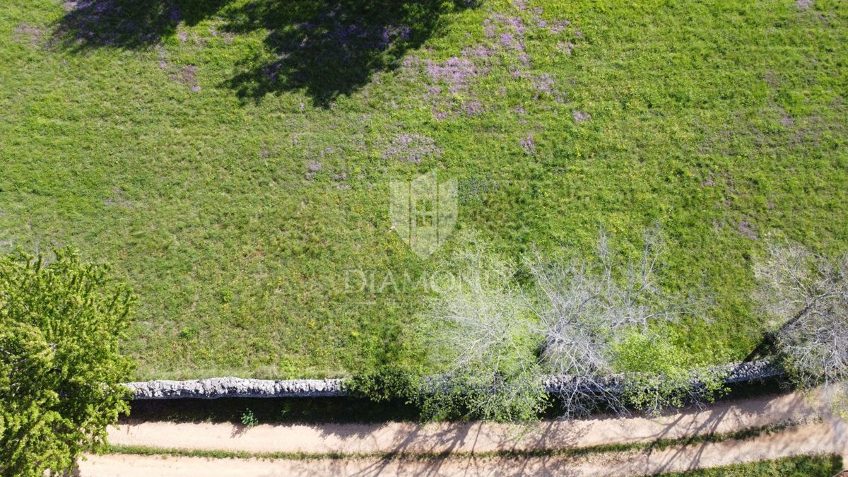 Parenzo – Dintorni – Terreno Edificabile in Splendida Posizione