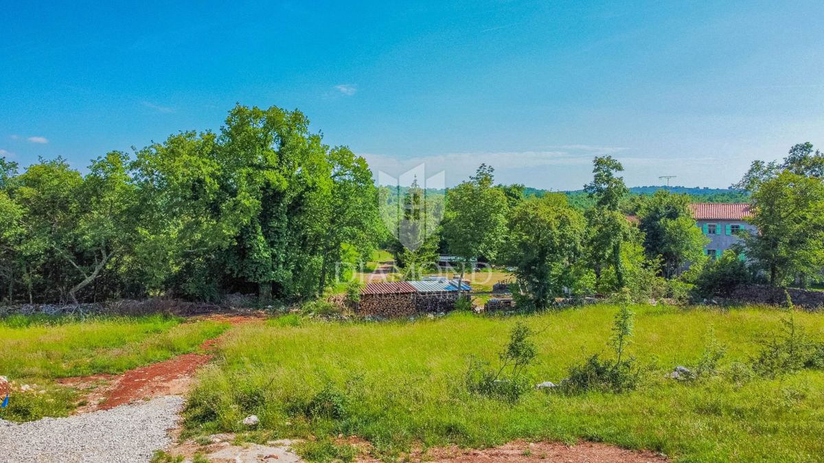 Grisignana, terreno edificabile in posizione tranquilla!