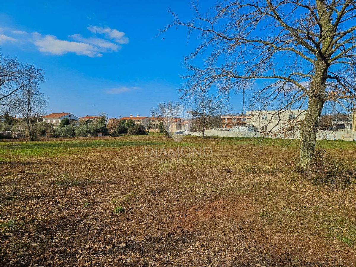 Terreno Novigrad, 649m2