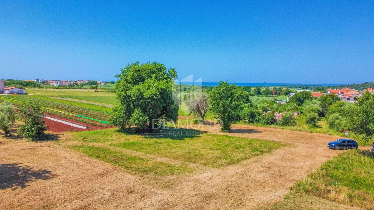 Terreno Novigrad, 649m2