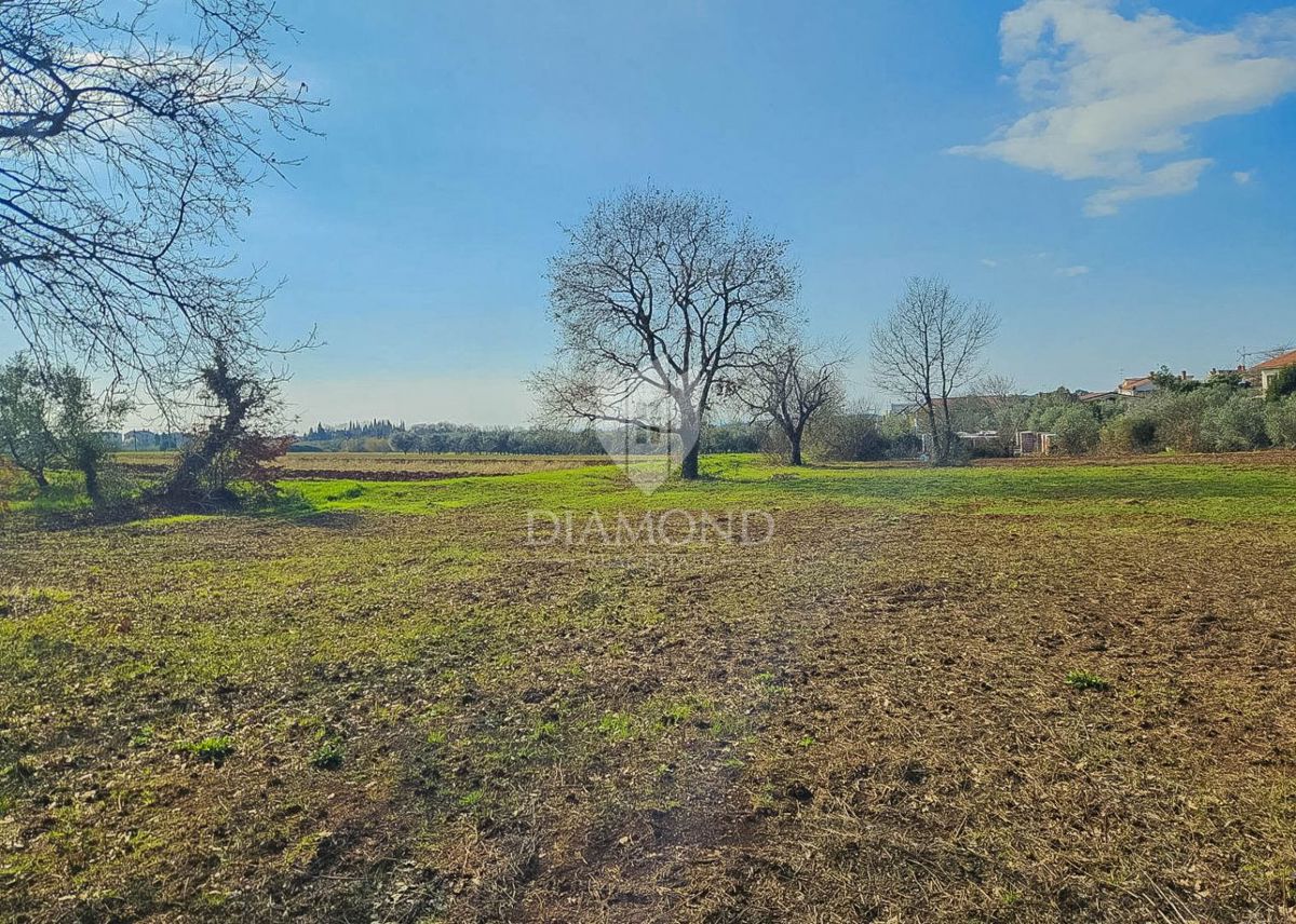 Terreno Novigrad, 649m2