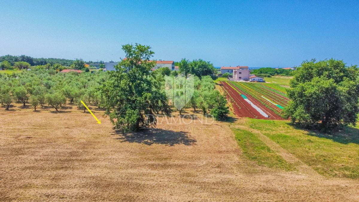 Terreno Novigrad, 649m2