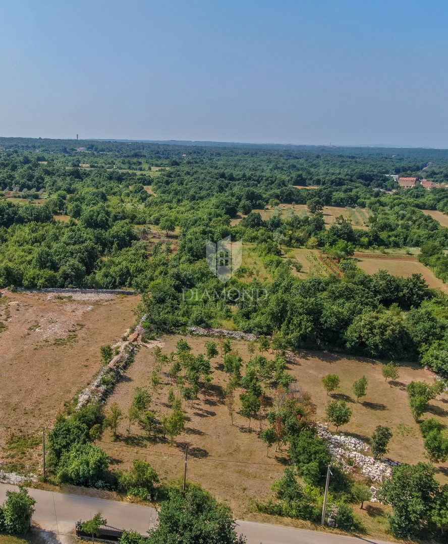 Svetvinčenat, dintorni, terreno in posizione tranquilla