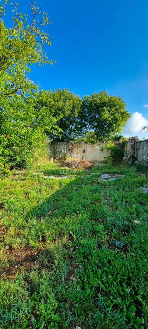 Rovigno, dintorni, terreno con progetto - OCCASIONE!!!