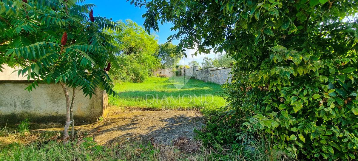 Rovigno, dintorni, terreno con progetto - OCCASIONE!!!