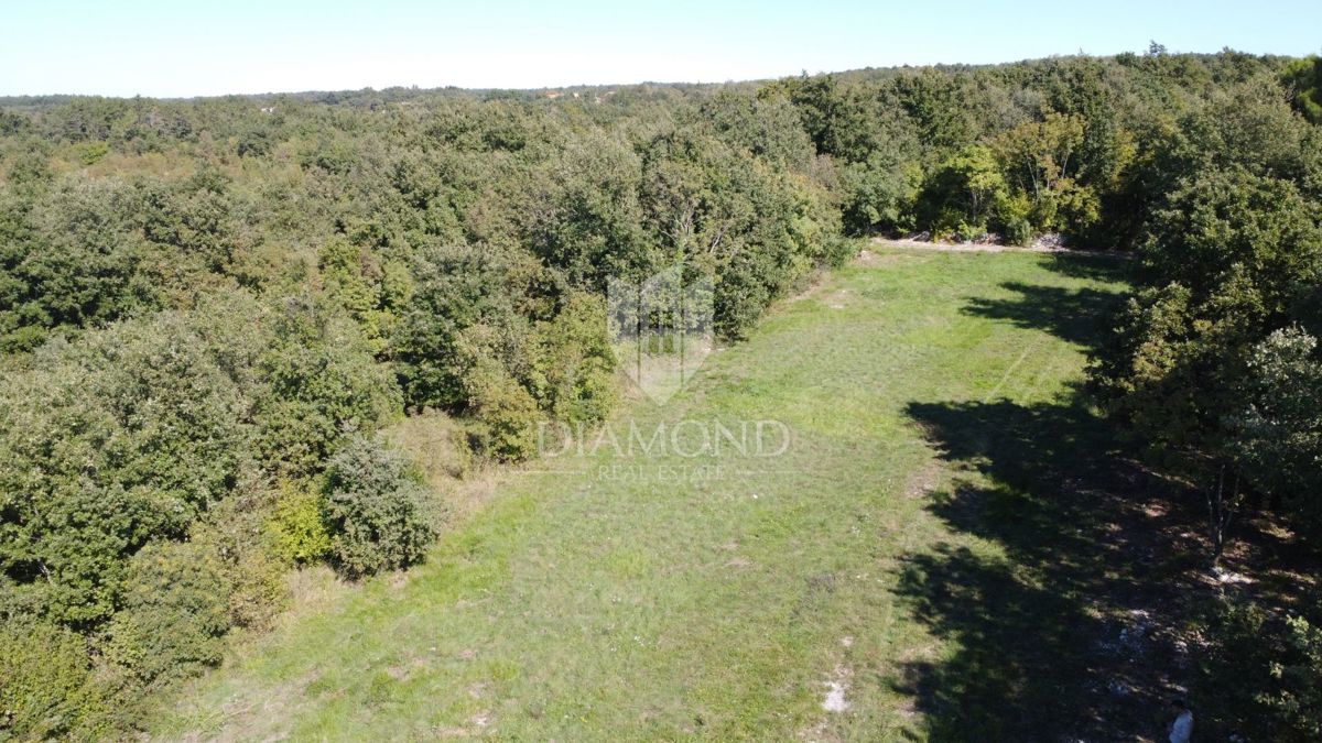 Parenzo, dintorni, ampio terreno appartato nella natura