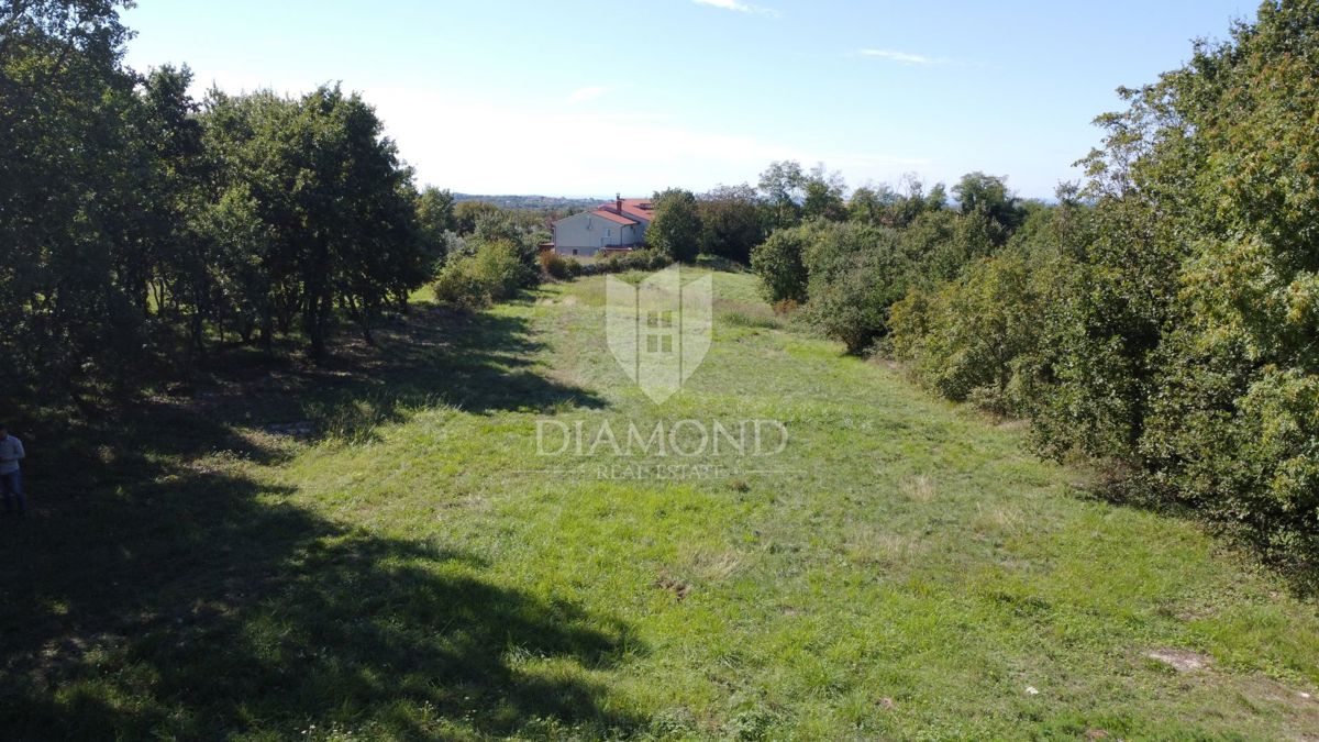 Parenzo, dintorni, ampio terreno appartato nella natura