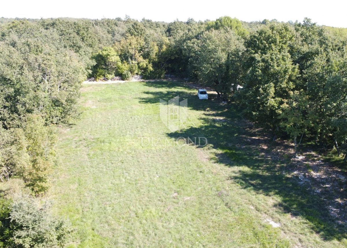 Parenzo, dintorni, ampio terreno appartato nella natura