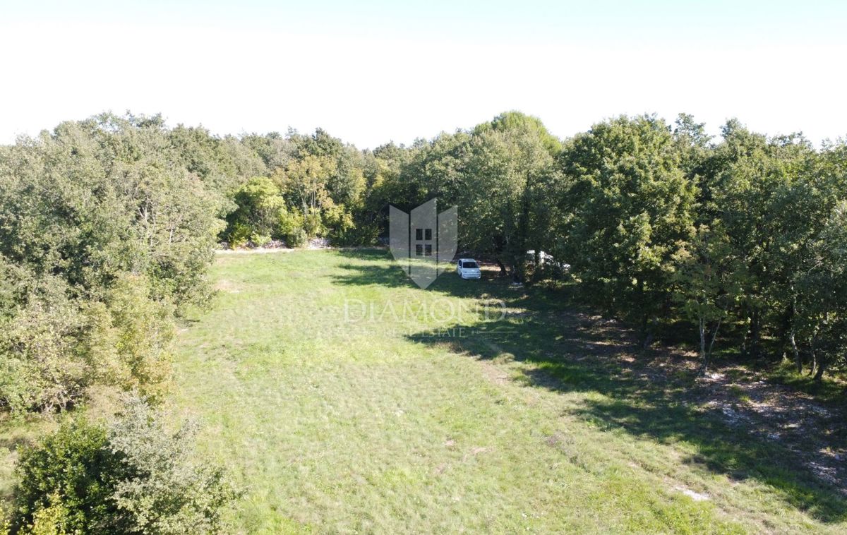 Parenzo, dintorni, ampio terreno appartato nella natura