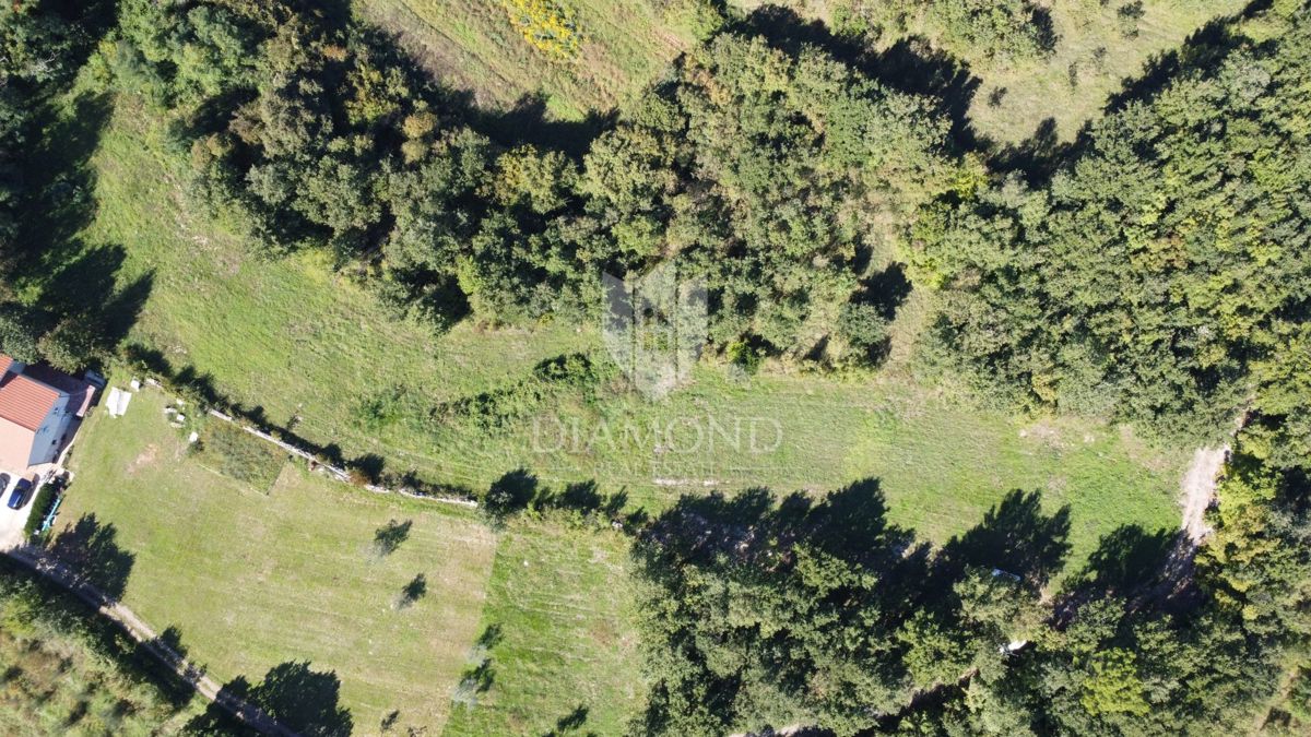 Parenzo, dintorni, ampio terreno appartato nella natura