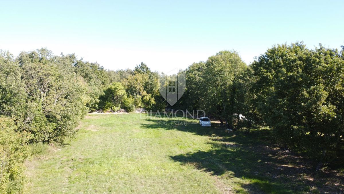 Parenzo, dintorni, ampio terreno appartato nella natura