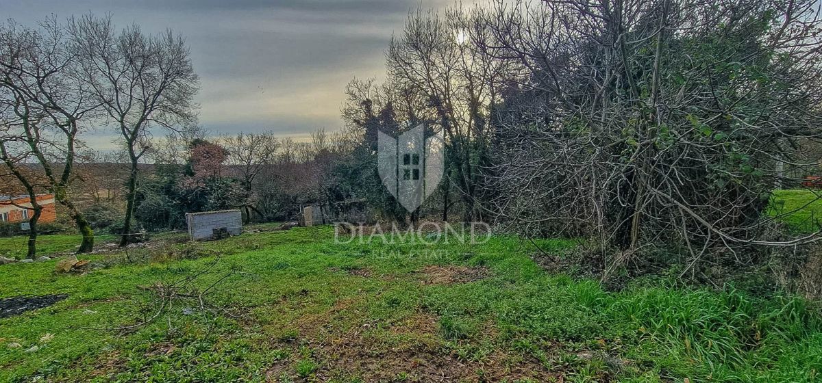 Verteneglio, dintorni, bellissimo terreno di 530 m2 ai margini del villaggio